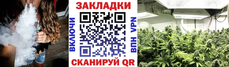 Магазины продажи наркотиков Светлогорск ГАШИШ Канабис Меф