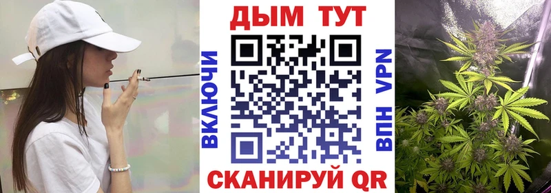 Шишки марихуана AK-47  где продают наркотики  Светлогорск 